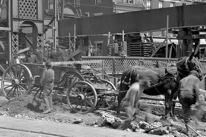 Horse Pollution